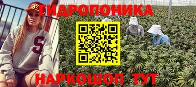 каннабис Кингисепп