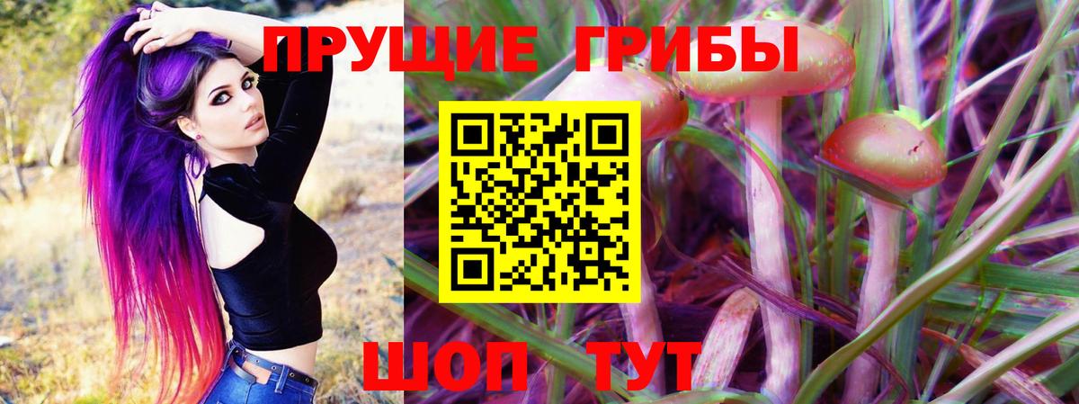 Псилоцибиновые грибы мицелий Ковров
