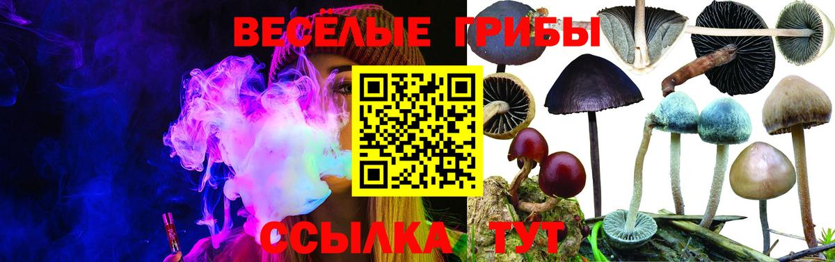 Ковров  Псилоцибиновые грибы Psilocybine cubensis  Галлюциногенные грибы GOLDEN TEACHER  Вход с VPN 
